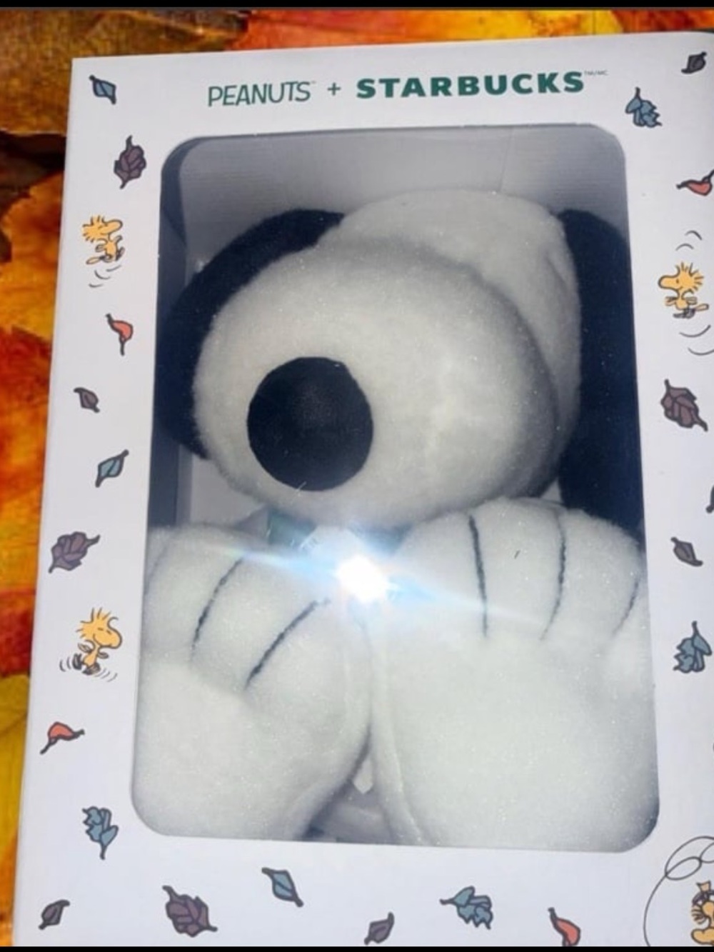 Starbucks x Peanuts  Starbucks Cold  and snoopy plush stuffed Starbucks